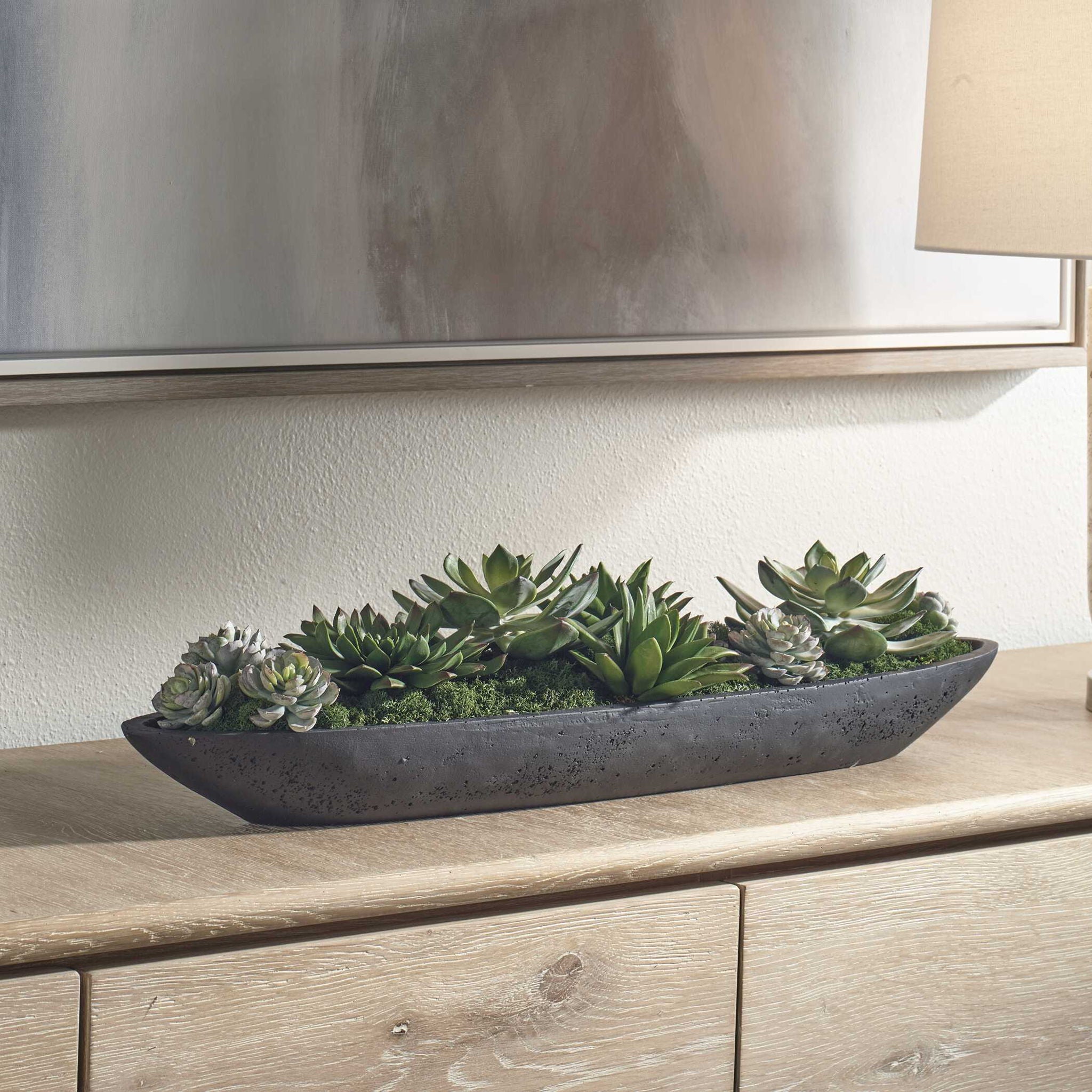 Verde - Succulent Centerpiece In Bowl - Black / Green