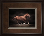 Stallion On Black By Edoma Photo - Framed Print Wall Art - Dark Brown