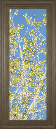 Spring Poplars Il By Sharon Chandler - Framed Print Wall Art - Light Blue