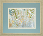 Humbled By Frank Assaf - Framed Print Wall Art - Light Blue