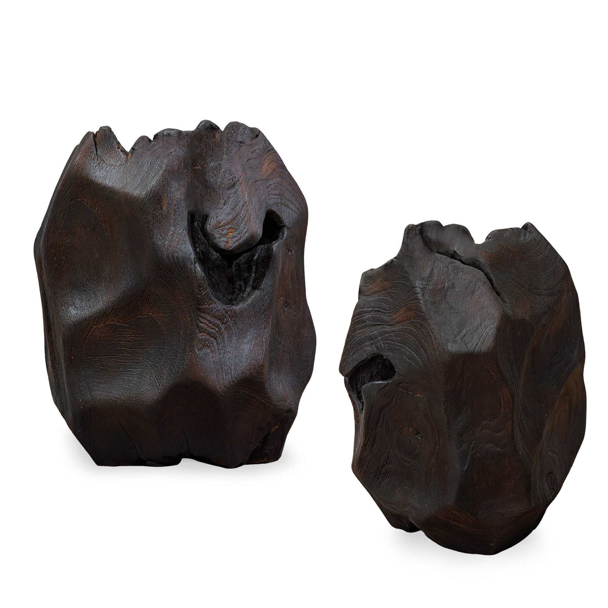 Ember Root - Teak Sculpture (Set of 2) - Black