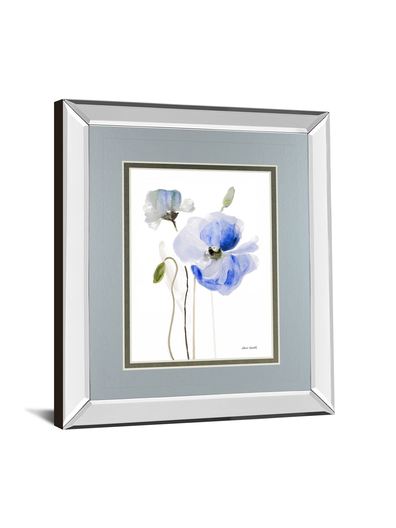 All Poppies I By Lanie Loreth - Mirror Framed Print Wall Art - Gray