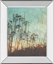 Wild Grass By Amy Melious - Mirror Framed Print Wall Art - Light Blue