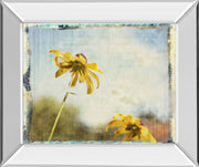 Blackeyed Susan Il By Meghan Mcsweeney - Mirror Framed Print Wall Art - Light Blue