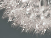 Droplet In Time II By Lori Deiter - Gray