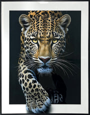 Midnight Stalker I Gloss Canvas With Rocks In Frame - Black / White
