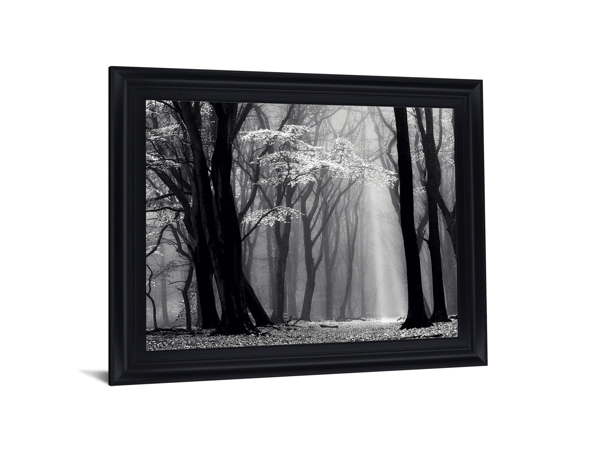Silent Grove Shadows - 28" x 34" Framed Wall Art - Dark Gray