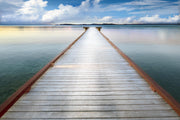 Framed Small - Long View Pier By Danita Delimont - Gray