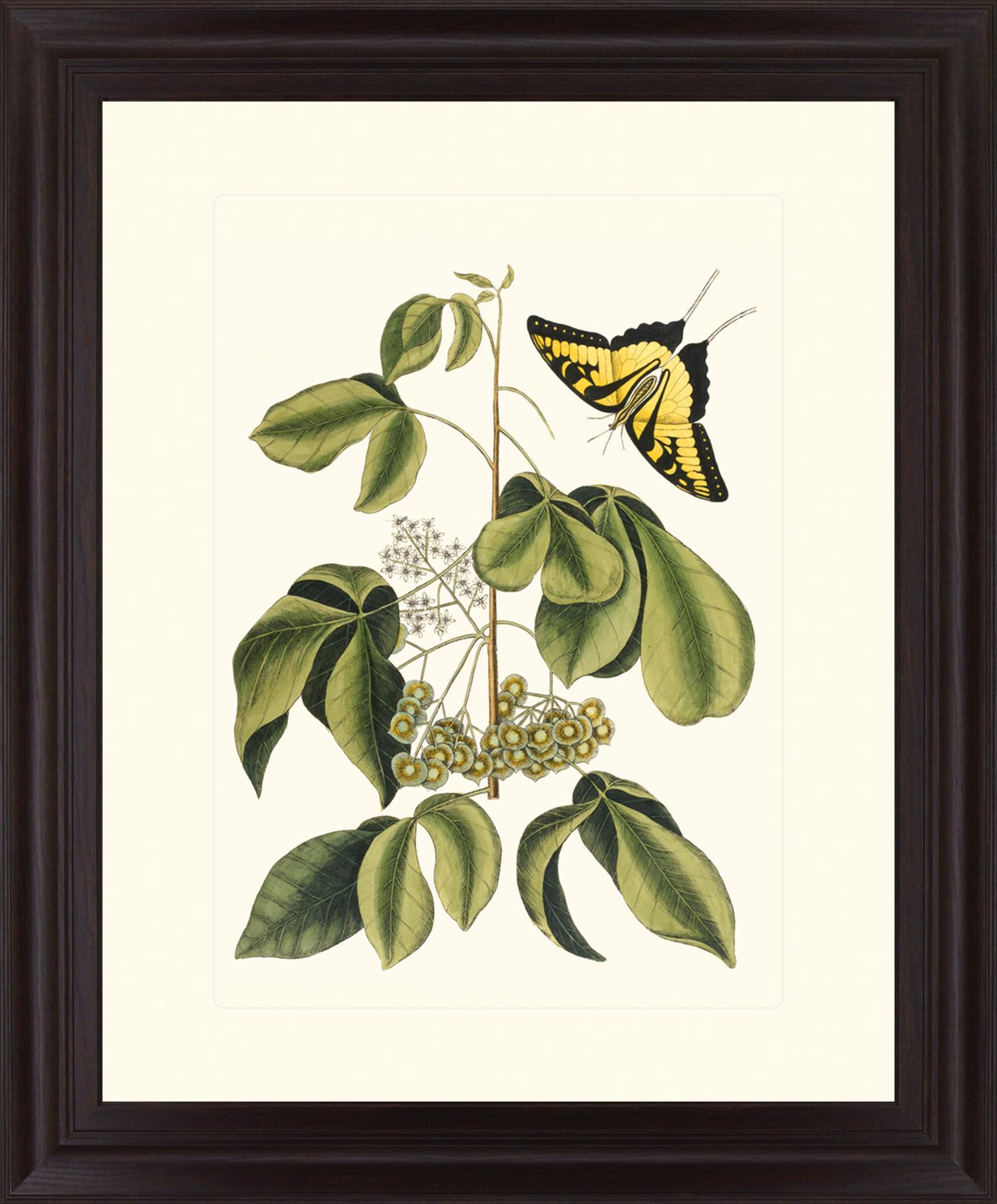 Butterfly Grove - 28" x 34" Framed Wall Art - Green