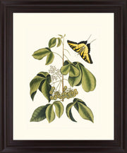 Butterfly Grove - 28" x 34" Framed Wall Art - Green