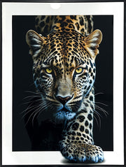 Midnight Stalker II Gloss Canvas With Rocks In Frame - Black / White