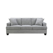 Baldwin - Sofa With 2 Pillows - Dalton Graphite