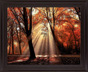 Radiant Maple Glow - 28" x 34" Framed Wall Art - Orange