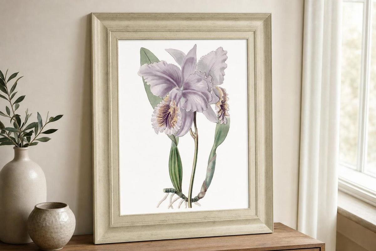 22x26 Lavender Beauties II By Edwards - Purple