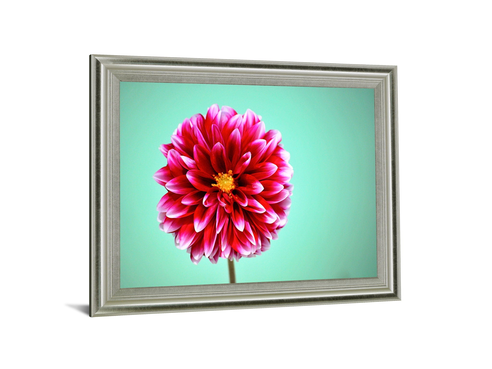 Crimson Radiance - 28" x 34" Framed Wall Art - Pink